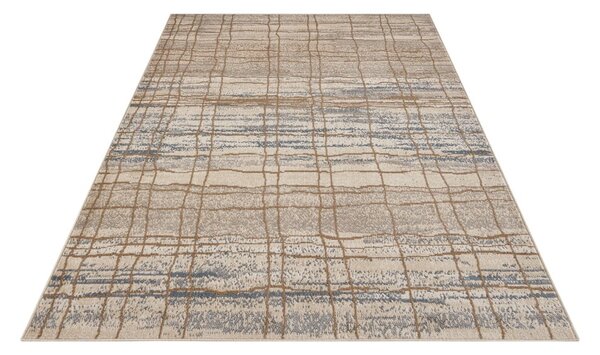 Bézs szőnyeg 80x120 cm Terrain – Hanse Home
