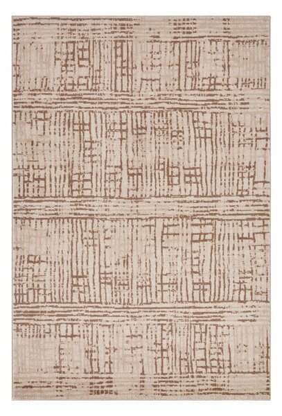 Barna-bézs szőnyeg 170x120 cm Terrain - Hanse Home