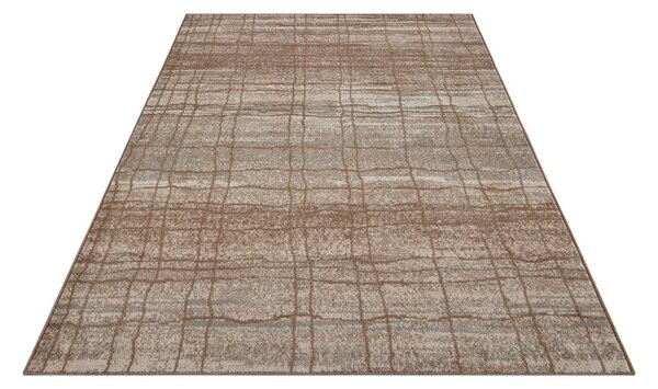 Barna-bézs szőnyeg 80x120 cm Terrain – Hanse Home