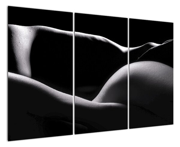 Modern képek (120x80cm)