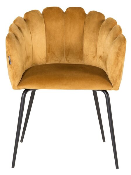Szék Dallas 134, 77x61x54cm, Sárga, Fekete