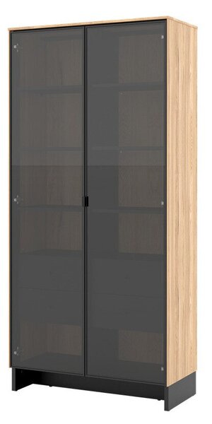 Könyvespolc Lorcamo 104, Fiókokkal, Ajtókkal, Edzett üveg, Laminált forgácslap, 196x92x40cm, Fekete, Világos fa
