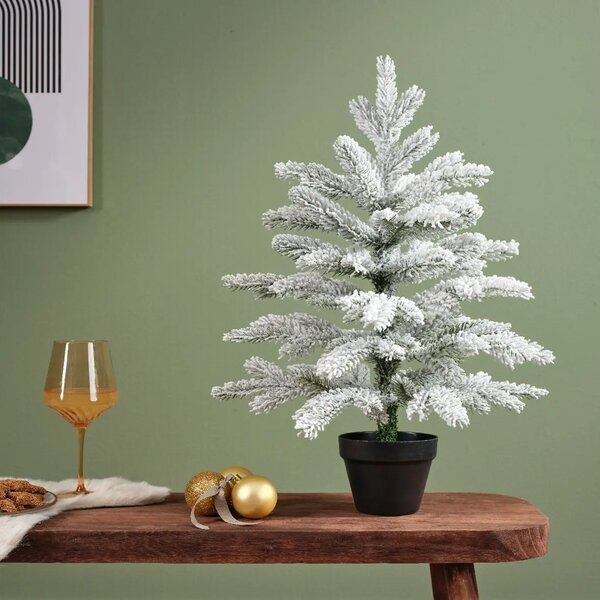 Havas Grandis karácsonyfa 60cm - 51 - 70 cm