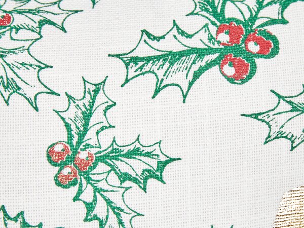 2 db díszpárna ZAMIA Pamut 45 x 45 cm Fehér Karácsonyi minta