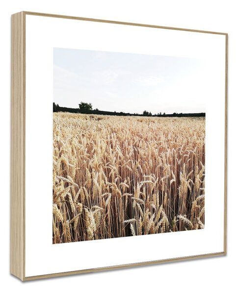 Kép 30x30 cm Aesthetic