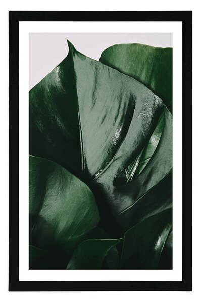 Poszter paszpartuval, monstera levél