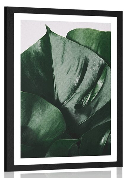 Poszter paszpartuval, monstera levél