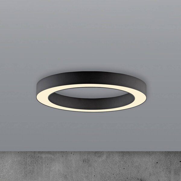 PURE Lines LED mennyezeti lámpa, 35 cm átmérőjű, grafit színű, CCT,, dimmelhető, Fekete, Nappali / Étkező, Alumínium, Modern