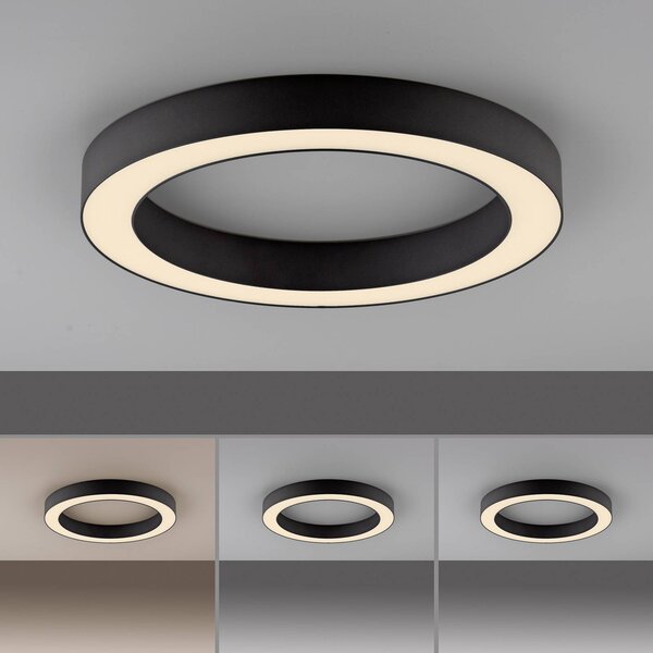 PURE Lines LED mennyezeti lámpa, 35 cm átmérőjű, grafit színű, CCT,, dimmelhető, Fekete, Nappali / Étkező, Alumínium, Modern
