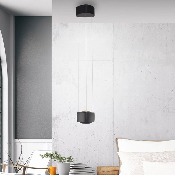 Paul Neuhaus LED függő világítás Q-Stretto, fekete, Ø 14,5 cm, dimmelhető, Fekete, Nappali / Étkező, fém, Modern