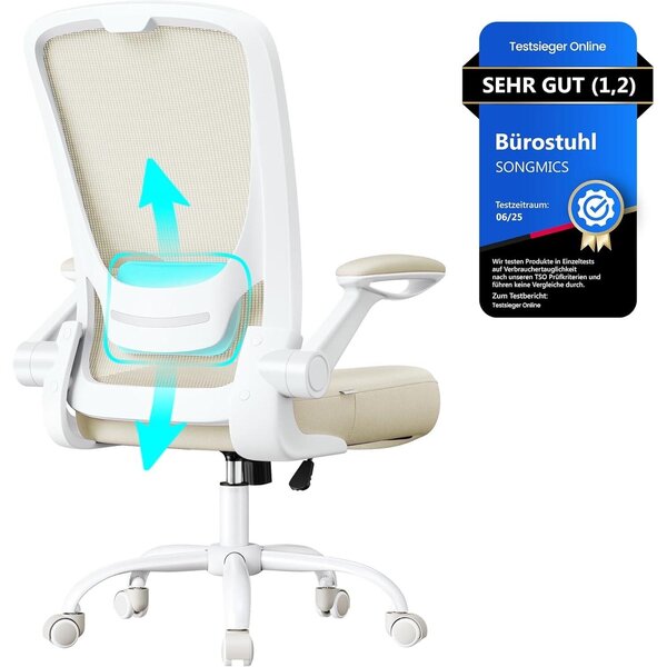 Ergonomikus irodai szék zabpehely-bézs színben
