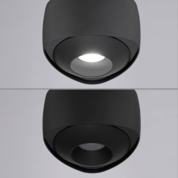 Paul Neuhaus LED függő világítás Q-Stretto, fekete, Ø 14,5 cm, dimmelhető, Fekete, Nappali / Étkező, fém, Modern