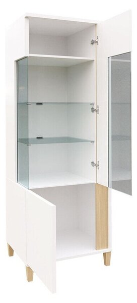 Könyvespolc Florem III, Zárt, Ajtókkal, Üveg, Laminált forgácslap, 160x52x40cm, Fényes fekete, Fényes fehér, Fehér