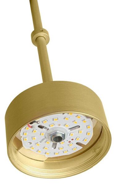 MOOSEE Capri Line 5 LED Függőlámpa Arany Üveggömbökkel