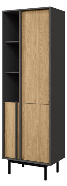 Könyvespolc Levali 102, Ajtókkal, Nyitott, Laminált forgácslap, 195x63x43cm, Tölgy, Antracit