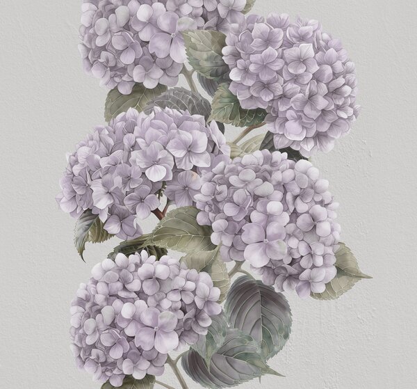 Fotótapéta Levendula hortenzia elegáns virágzás, Modern fotótapéta, Modern fotótapéta, w08176v1 - Muralas.hu