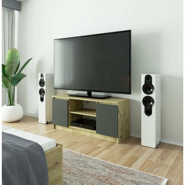 TV szekrény, 2 ajtós, középső polccal, 120x40x55 cm, modern design, artisan szürke tölgy