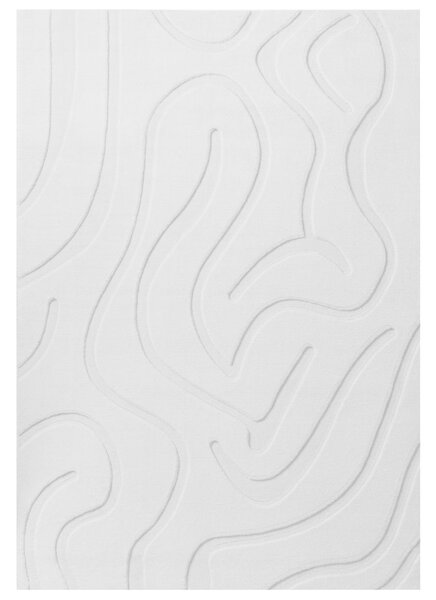 Szőnyeg SALVORI Törtfehér 160 x 230 cm