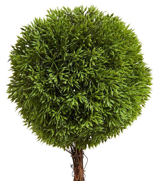 FLORISTA mini cserepes bukszus, 35 cm magas