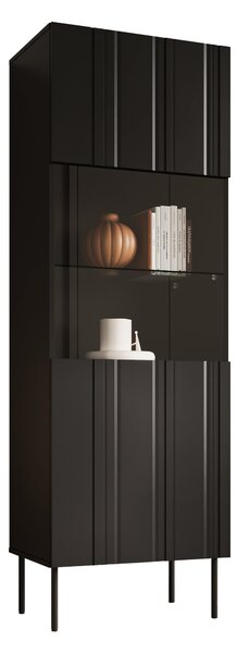 Könyvespolc Evavese 108, Zárt, Ajtókkal, Üveg, Közepes sűrűségű farostlemez, Laminált forgácslap, 180x60x42cm, Fekete