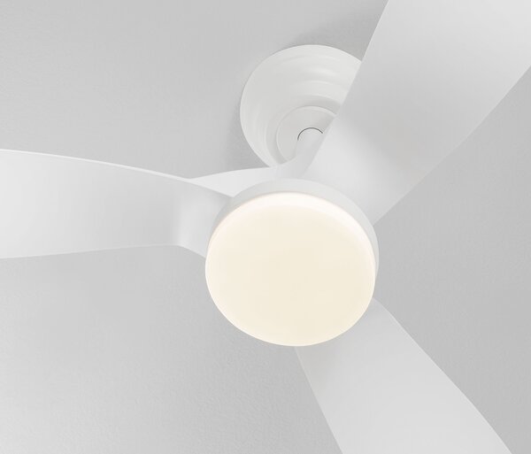 Caelia LED általános mennyezeti lámpa