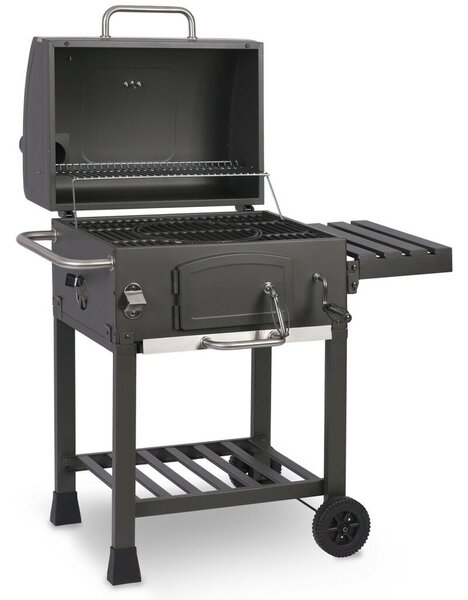 Berdsen BD-891 Faszenes grill (389100)
