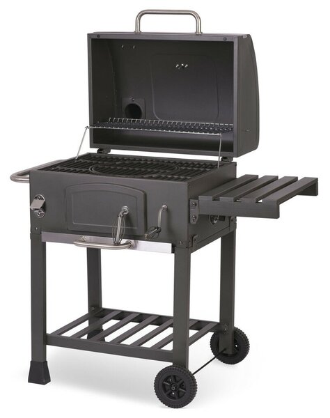 Berdsen BD-891 Faszenes grill (389100)