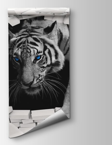 Fotótapéta Tigris jön át egy lyukon a falon, Designer fali fotótapéta, Népszerű fotótapéta, u53013 - Tapeko.hu