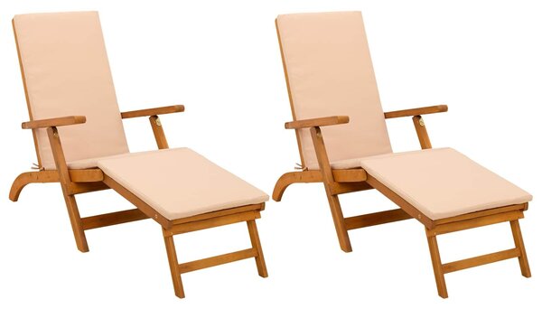 VidaXL Függőágy és összecsukható napozóágy 2 pcs 55 x 146 x 91 cm
