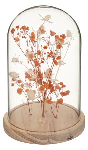 Szárított virágok üveg búra alatt FLOWER BELL, magasság 17 cm Szín: Narancssárga