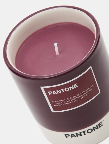 Sinsay - Gyertya Pantone - mályva
