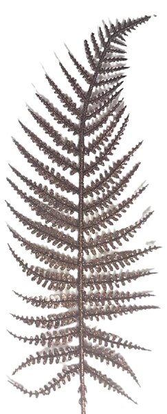 Karácsonyi dekoráció páfrány mélyedés 70cm barna művirág