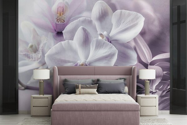 Fotótapéta Fehér és lila finom orchidea virágok, lágy megvilágítás és elmosódott, Fotótapéta virágok és növények, w09155 : Uwalls.hu