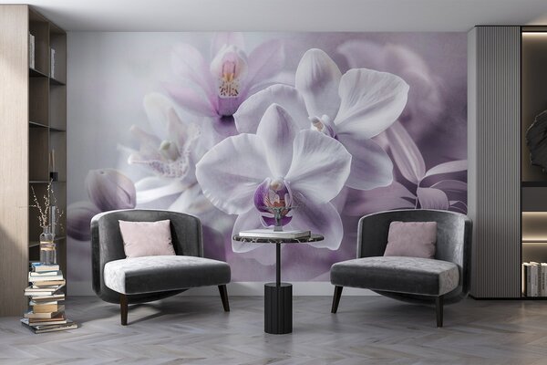 Fotótapéta Fehér és lila finom orchidea virágok, lágy megvilágítás és elmosódott, Fotótapéta virágok és növények, w09155 : Uwalls.hu