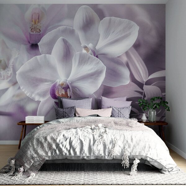 Fotótapéta Fehér és lila finom orchidea virágok, lágy megvilágítás és elmosódott, Fotótapéta virágok és növények, w09155 : Uwalls.hu