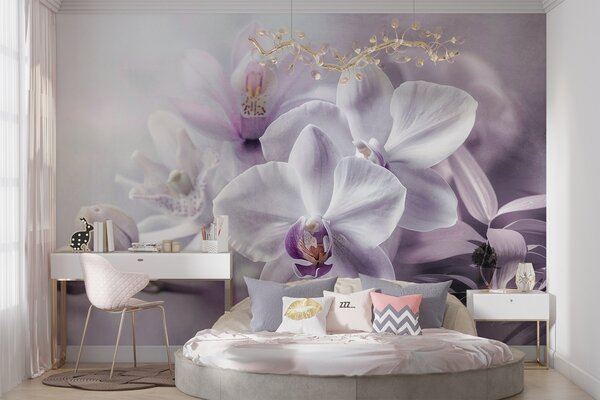Fotótapéta Fehér és lila finom orchidea virágok, lágy megvilágítás és elmosódott, Fotótapéta virágok és növények, w09155 : Uwalls.hu