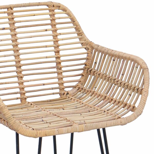 Bárszék 2 pcs Természetes 55 x 52 x 105 cm Rattan és Vas