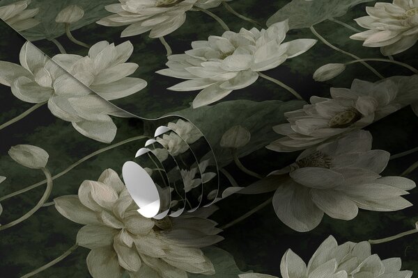 Tapéta Lotus, Virágok és növények tapétá, a00420v2 : Uwalls.hu