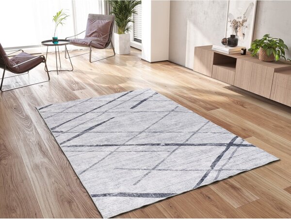 Világosszürke szőnyeg 160x230 cm Class – Universal