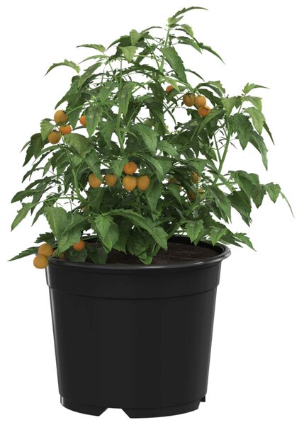 Virág Cserép 50 pcs Fekete Ø 15 x 12.5 cm Műanyag
