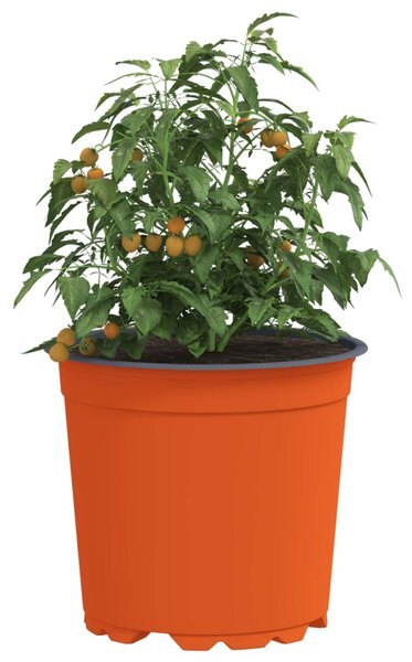 Virág Cserép 50 pcs Kerámia Ø 15 x 13 cm Műanyag