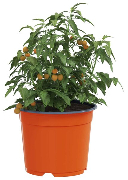 Virág Cserép 50 pcs Kerámia Ø 15 x 12.5 cm Műanyag