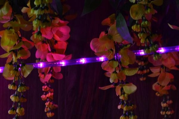 NEXOS Fénykábel 240 LED Rózsaszín 10 m