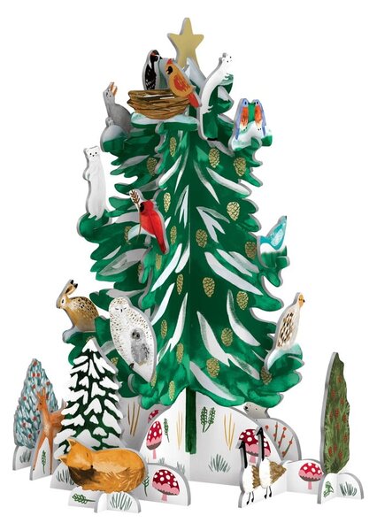 Adventi naptár Conifer - Roger la Borde