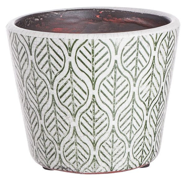 EVERGREEN kaspó, zöld levelek Ø14cm