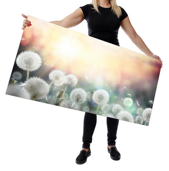 Wallplex falburkoló konyhapanel Pitypangok (Méret: Kicsi 60x120)