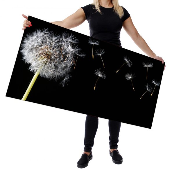 Wallplex falburkoló konyhapanel Fekete pitypang (Méret: Kicsi 60x120)