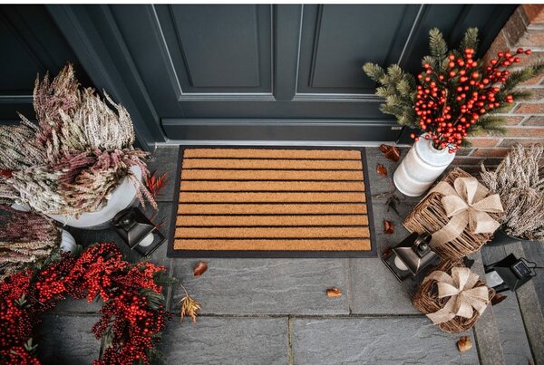 Kókuszrost lábtörlő 45x75 cm Striped – Hanse Home