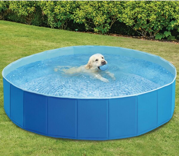 Intex Foldable Pet Pool kisállat medence, 152 x 30 cm (48400)