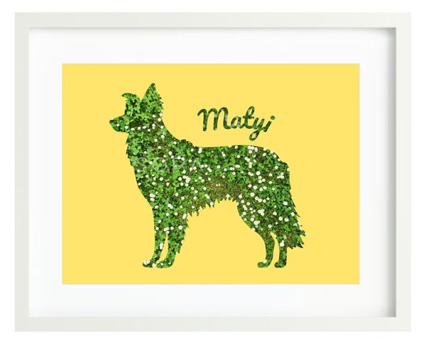 Border collie fotógrafika falikép saját névvel